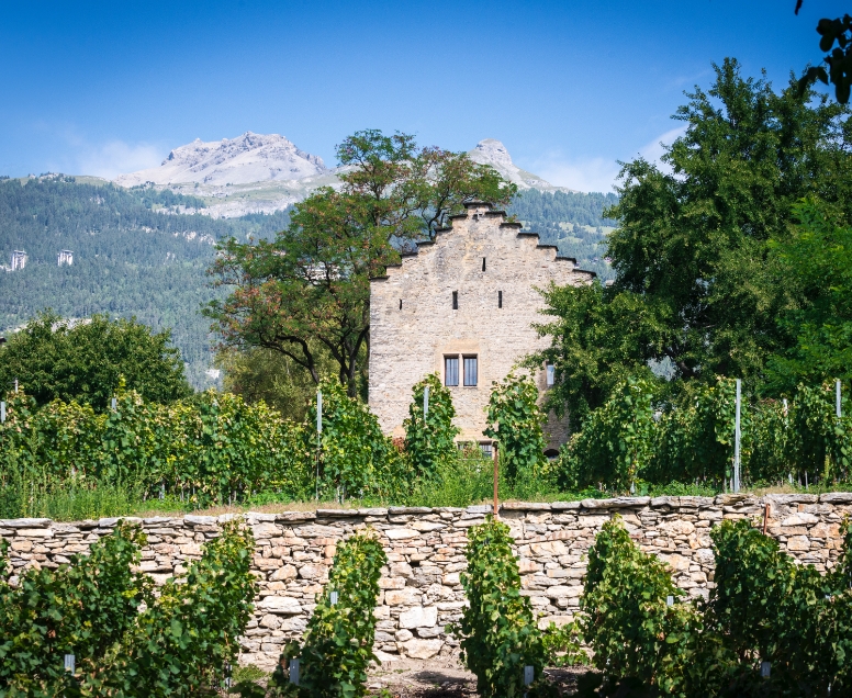 Campagne de communication Noble-Contrée Fusion des communes de Veyras, Miège et Venthône