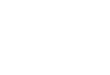 ArcInfo